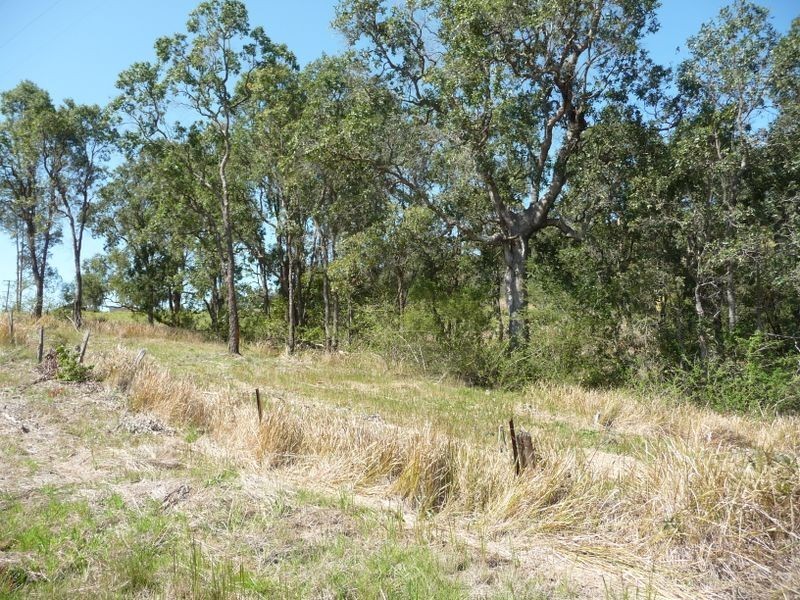 Wingham NSW 2429