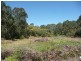 Wingham NSW 2429