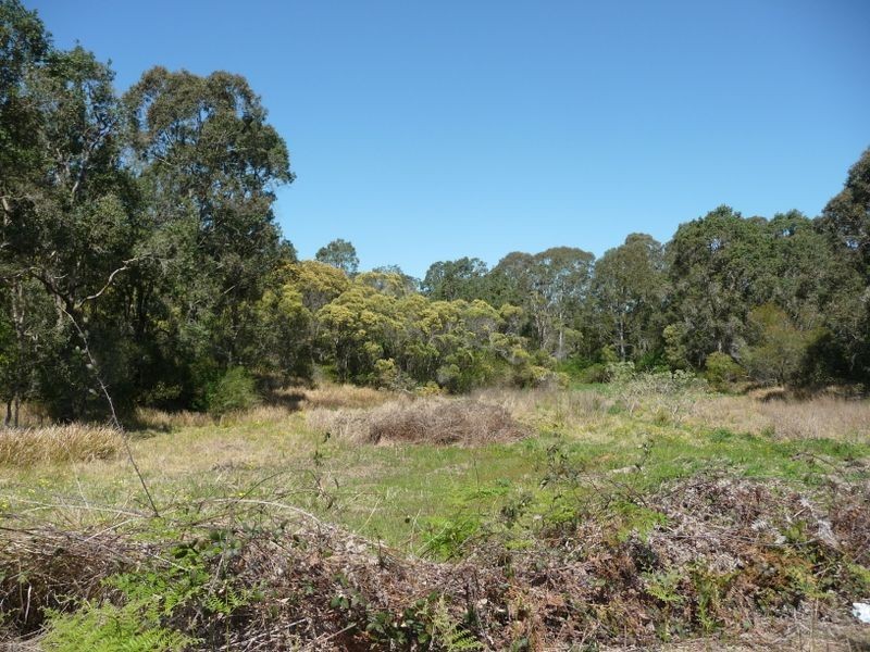 Wingham NSW 2429