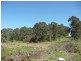 Wingham NSW 2429