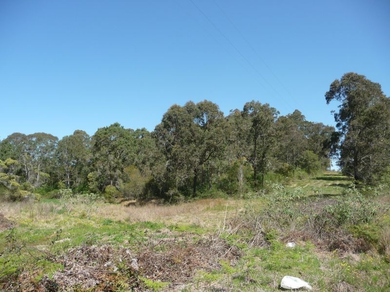 Wingham NSW 2429