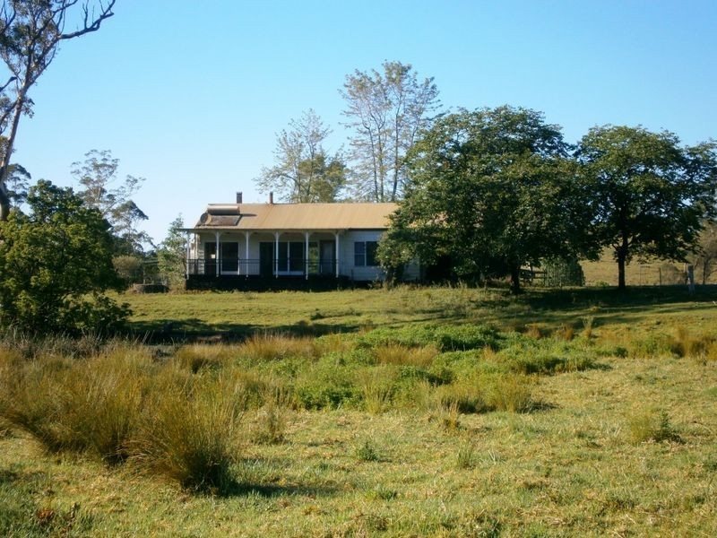 Pear Tree Mcgilvray Road, Killabakh NSW 2429