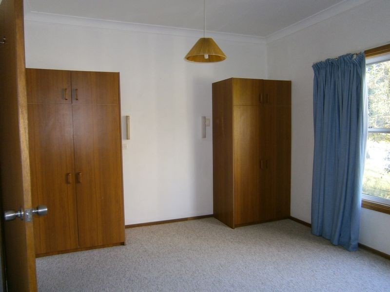 Pear Tree Mcgilvray Road, Killabakh NSW 2429
