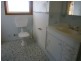 Pear Tree Mcgilvray Road, Killabakh NSW 2429