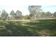 Wingham NSW 2429