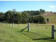 Wingham NSW 2429