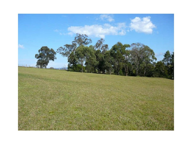Wingham NSW 2429