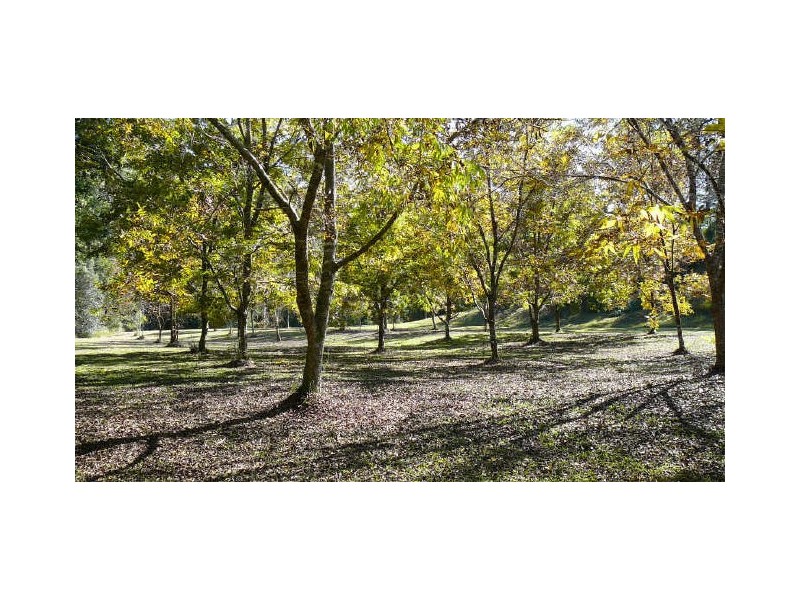 Mooral Creek NSW 2429