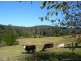 Hannam Vale NSW 2443