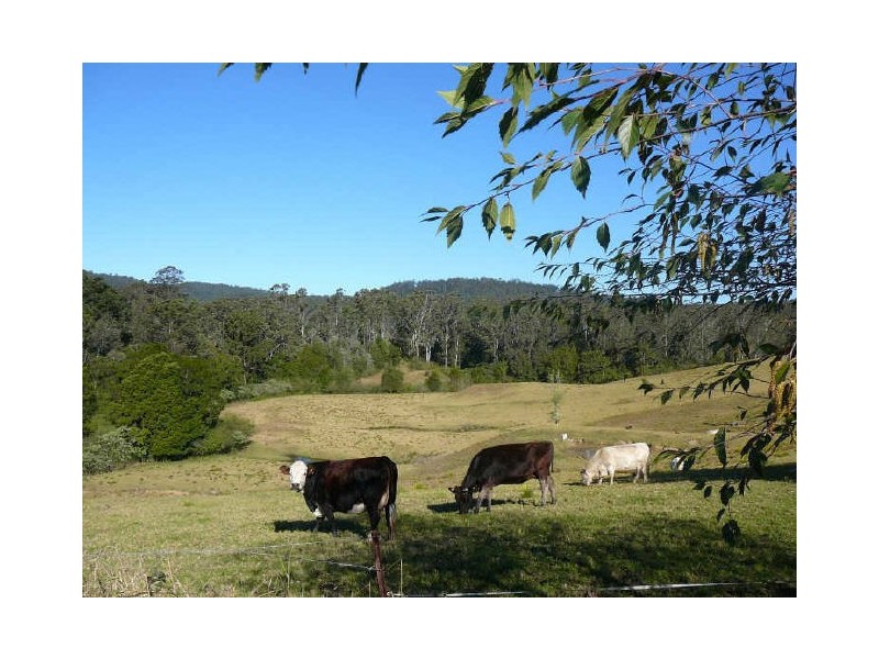 Hannam Vale NSW 2443