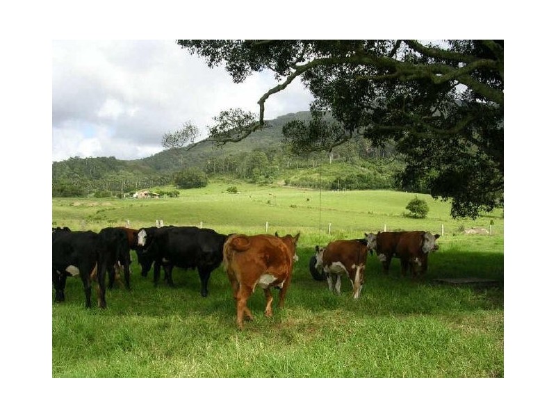 Johns River NSW 2443