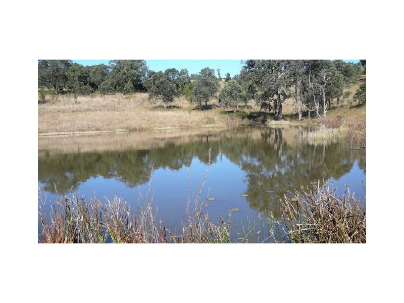 409 Wherrol Flat Road, Wherrol Flat NSW 2429