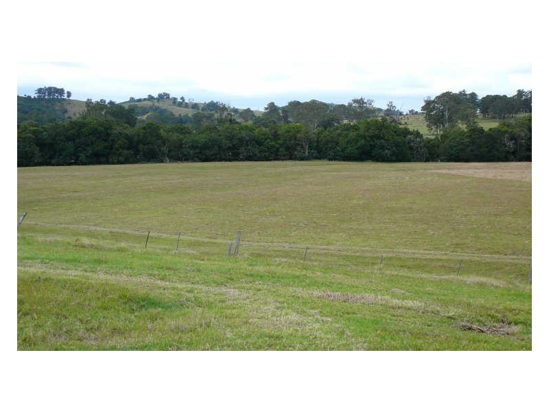 Burrell Creek NSW 2429