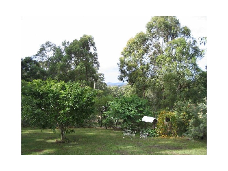 Middle Brother NSW 2443