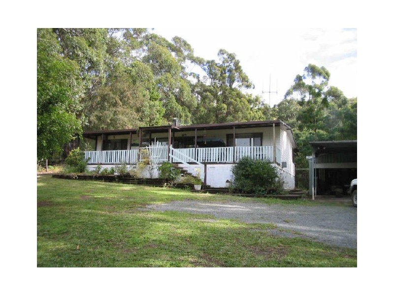 Middle Brother NSW 2443