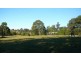Burrell Creek NSW 2429