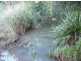 Burrell Creek NSW 2429