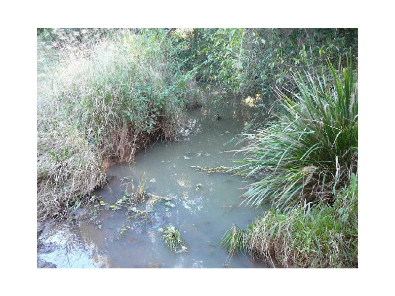 Burrell Creek NSW 2429