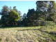 Burrell Creek NSW 2429