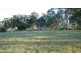Burrell Creek NSW 2429