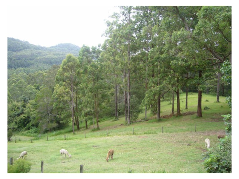 Hannam Vale NSW 2443
