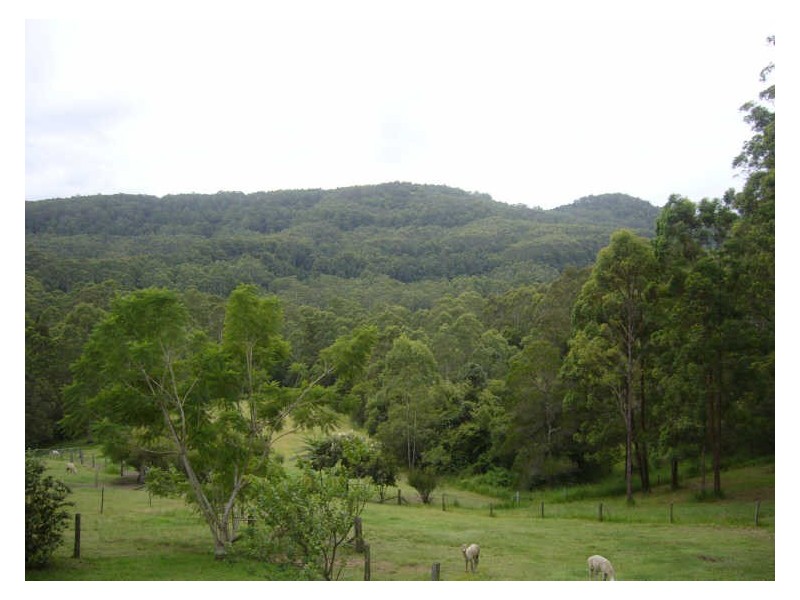 Hannam Vale NSW 2443