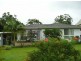 Wingham NSW 2429