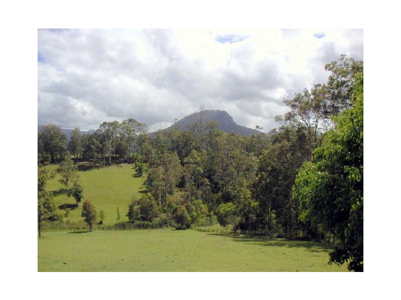 Killabakh NSW 2429