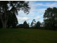 Killabakh NSW 2429