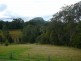 Killabakh NSW 2429
