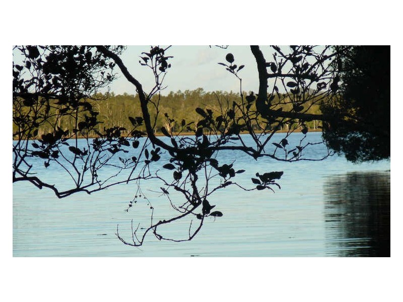 Johns River NSW 2443