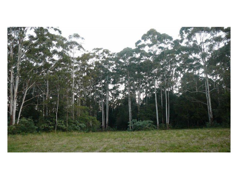 Johns River NSW 2443