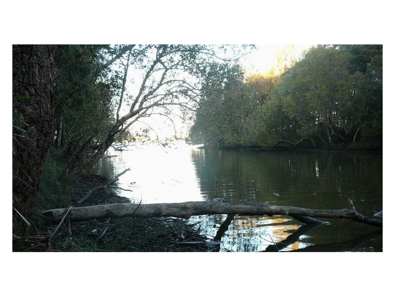 Johns River NSW 2443