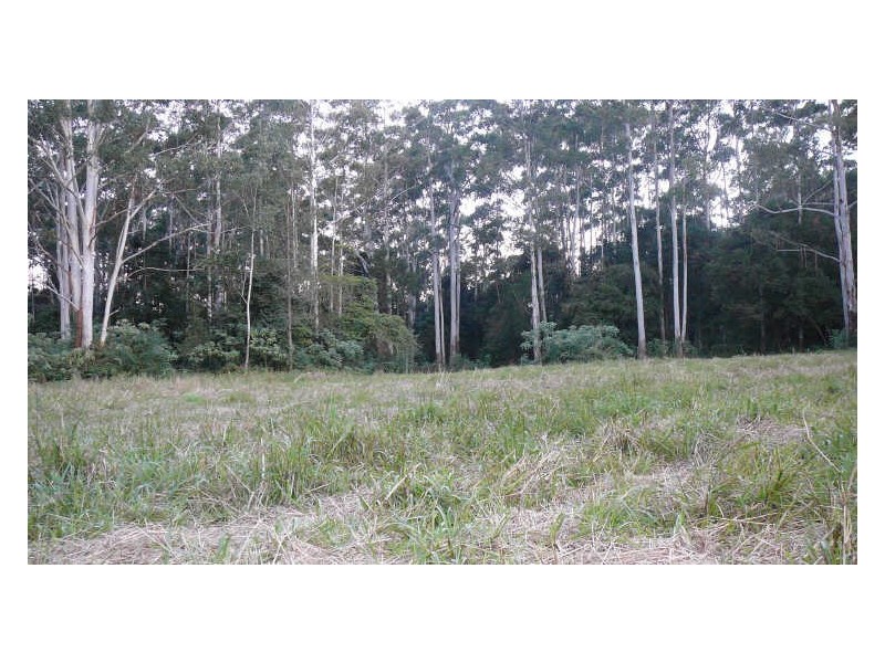 Johns River NSW 2443