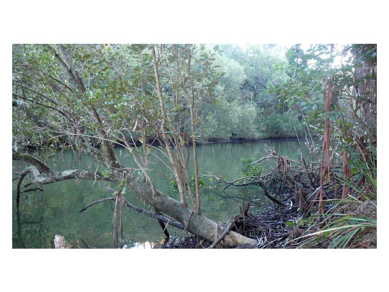 Johns River NSW 2443