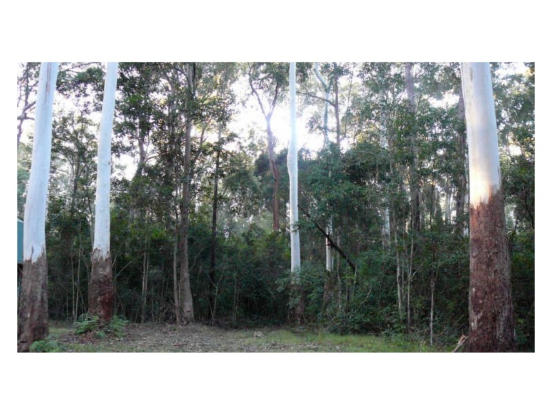 Johns River NSW 2443