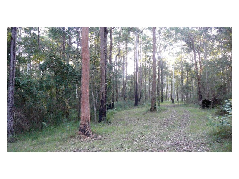 Johns River NSW 2443