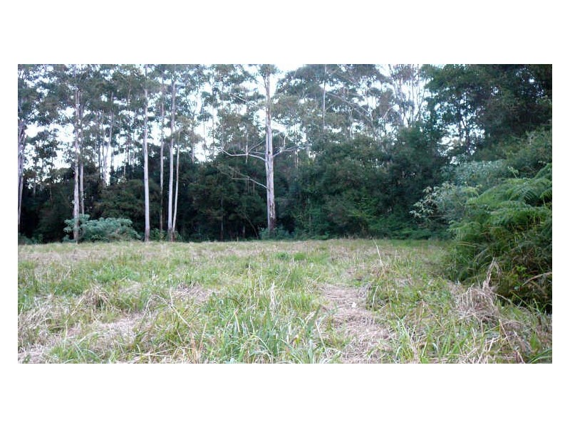 Johns River NSW 2443