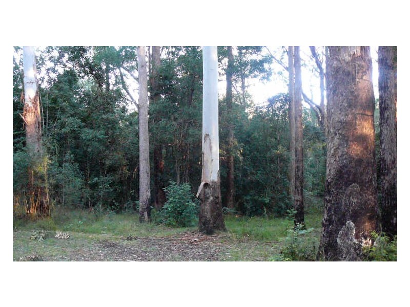 Johns River NSW 2443