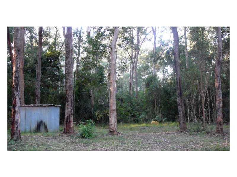 Johns River NSW 2443