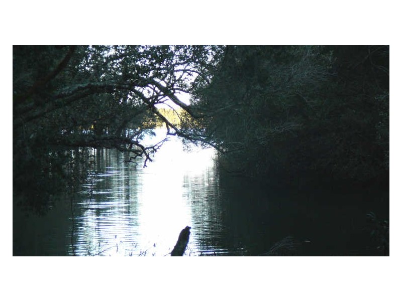 Johns River NSW 2443