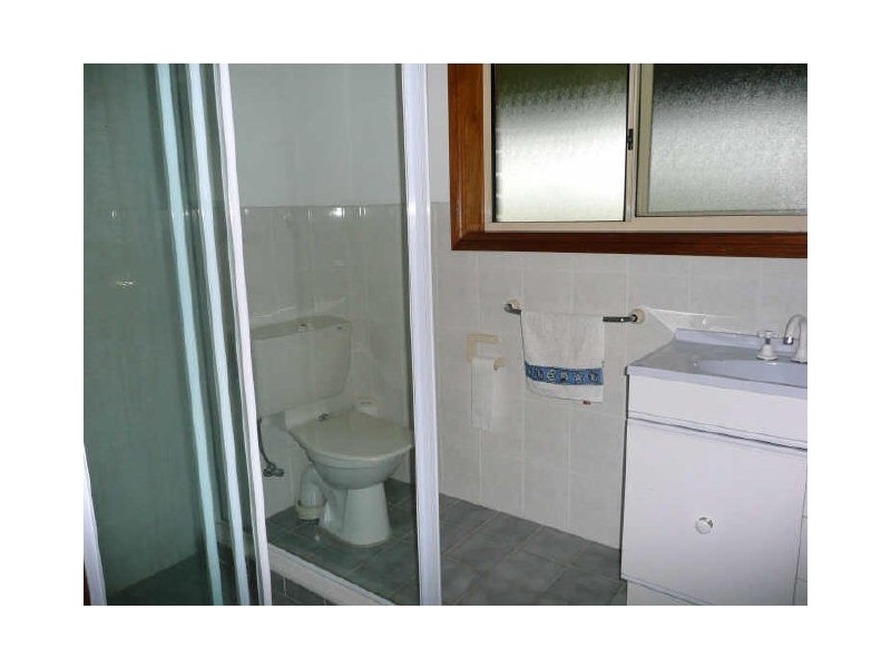 Wingham NSW 2429