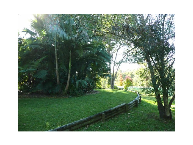 Wingham NSW 2429