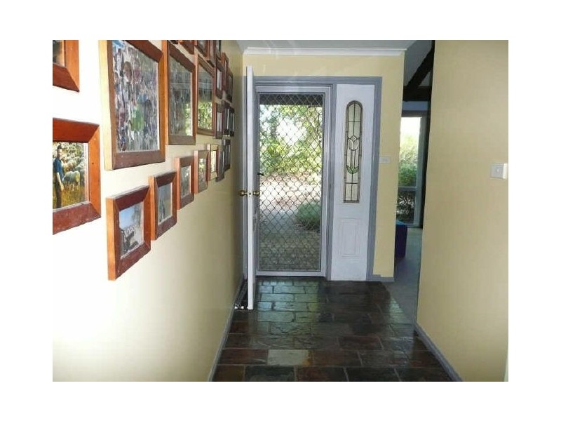 Wingham NSW 2429