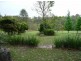 Wingham NSW 2429