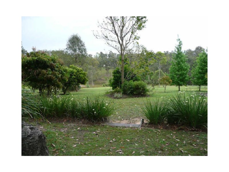 Wingham NSW 2429