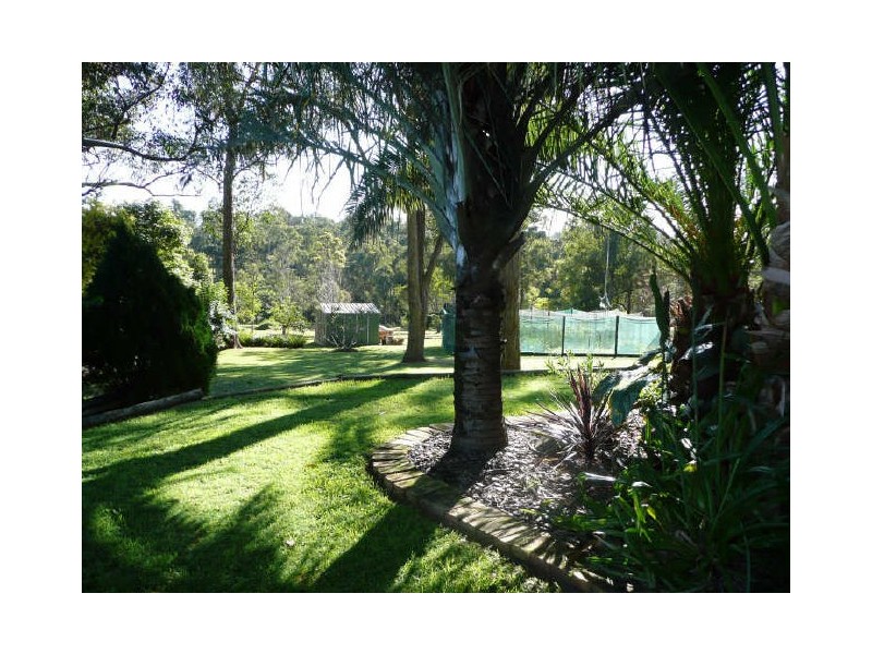 Wingham NSW 2429