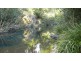 Wherrol Flat NSW 2429