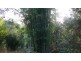 Wherrol Flat NSW 2429