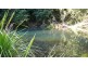 Wherrol Flat NSW 2429